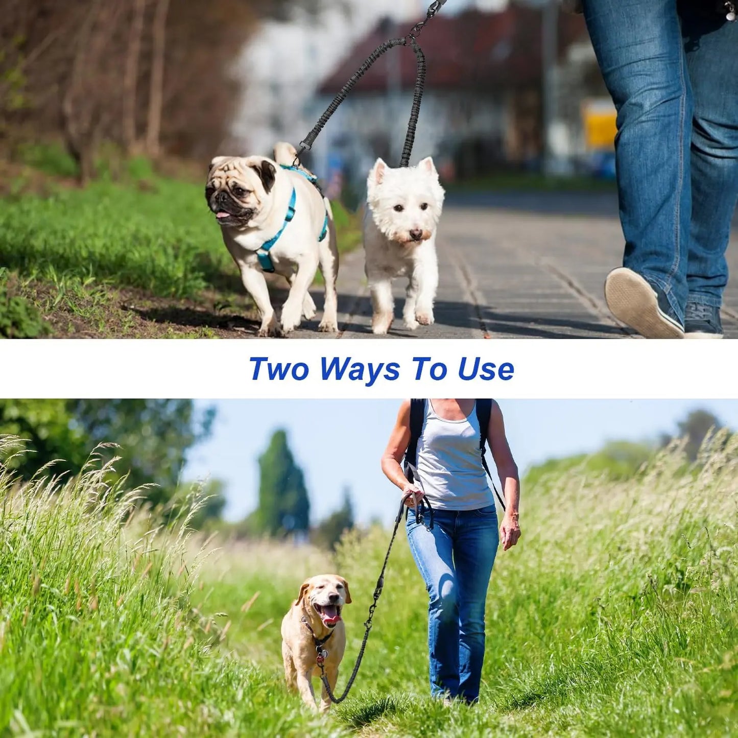Pipidodo Dual Dog Leash with Shock Absorption, Tangle-Free 360° Swivel, and Padded Handle for Comfortable Dual Dog Walking